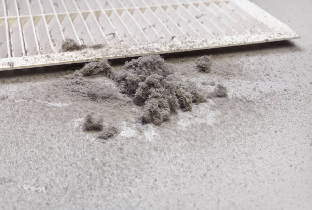 Best Residential Air Duct Cleaning  in Silt, CO